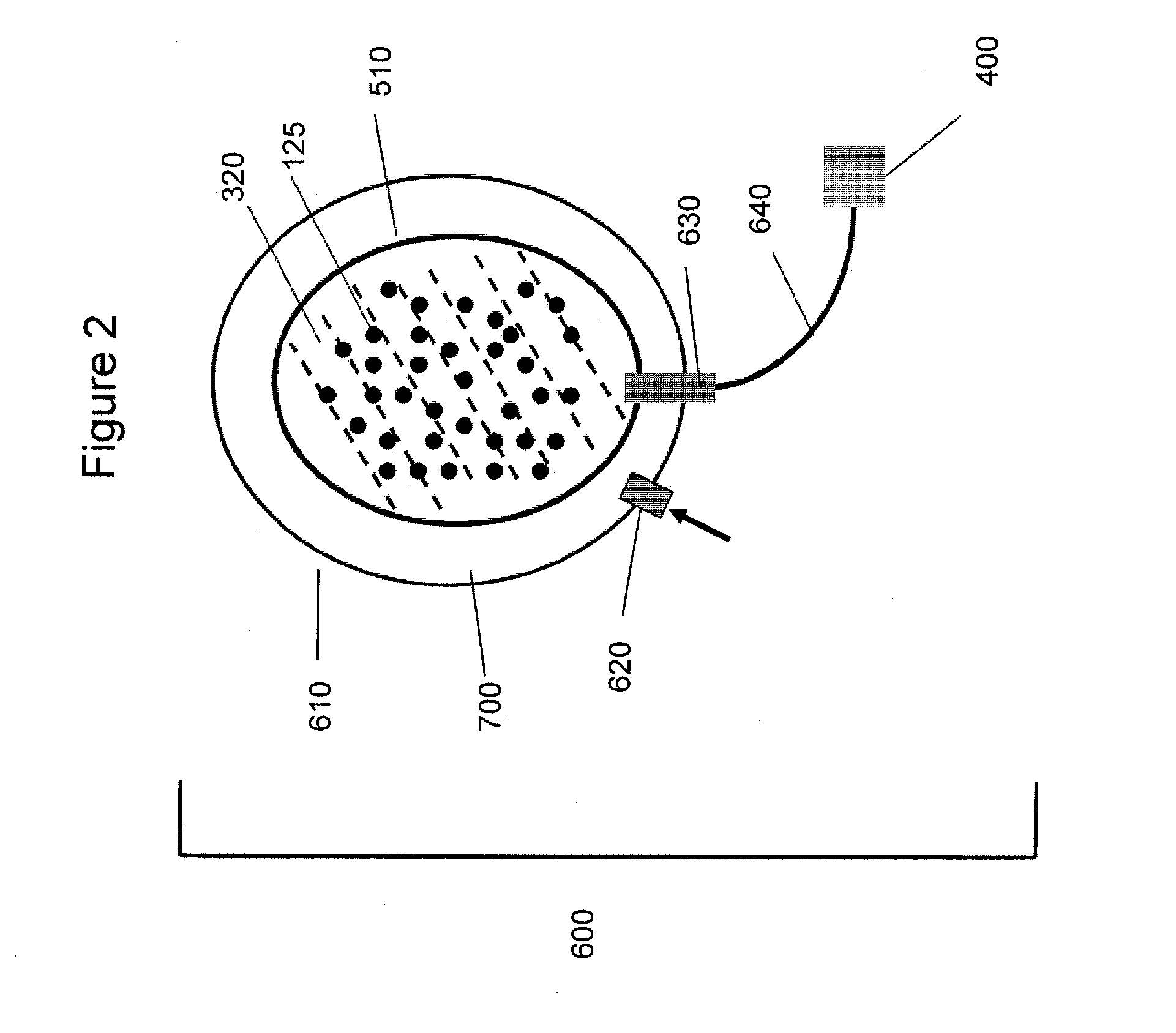 Gas-filled microbubbles and systems for gas delivery