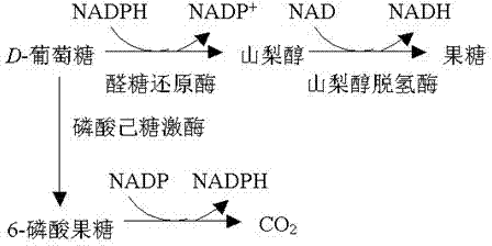 Epalrestat slow-release tablet and preparation method thereof