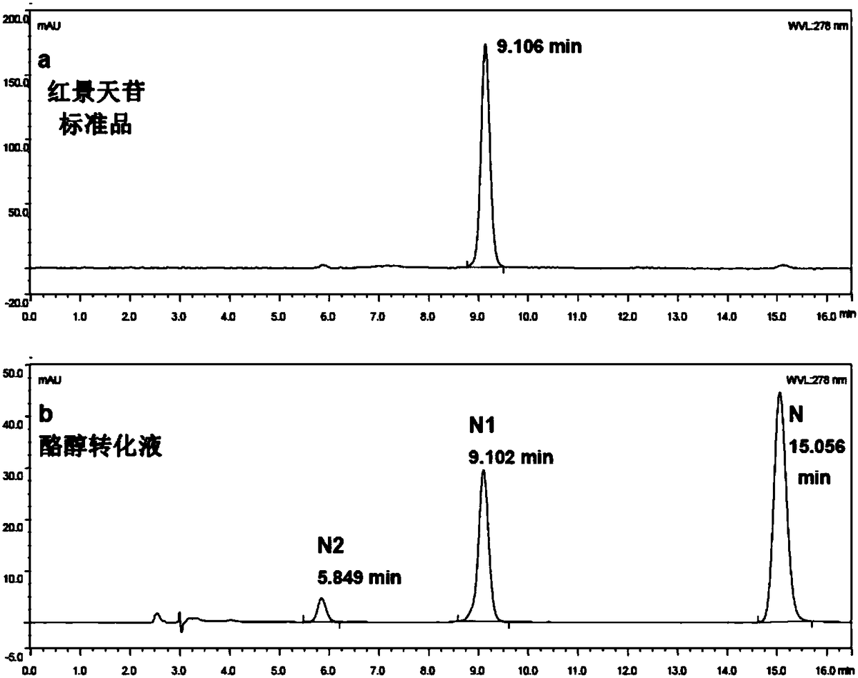 Organic solvent resistant efficient galactosidase and application thereof