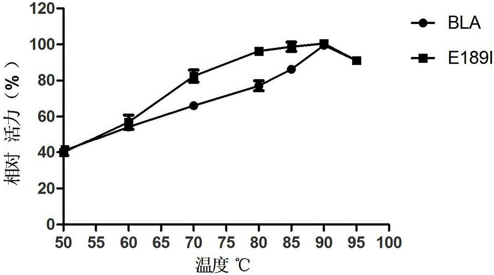 Bacillus licheniformis high-temperature alpha-amylase mutant and application thereof