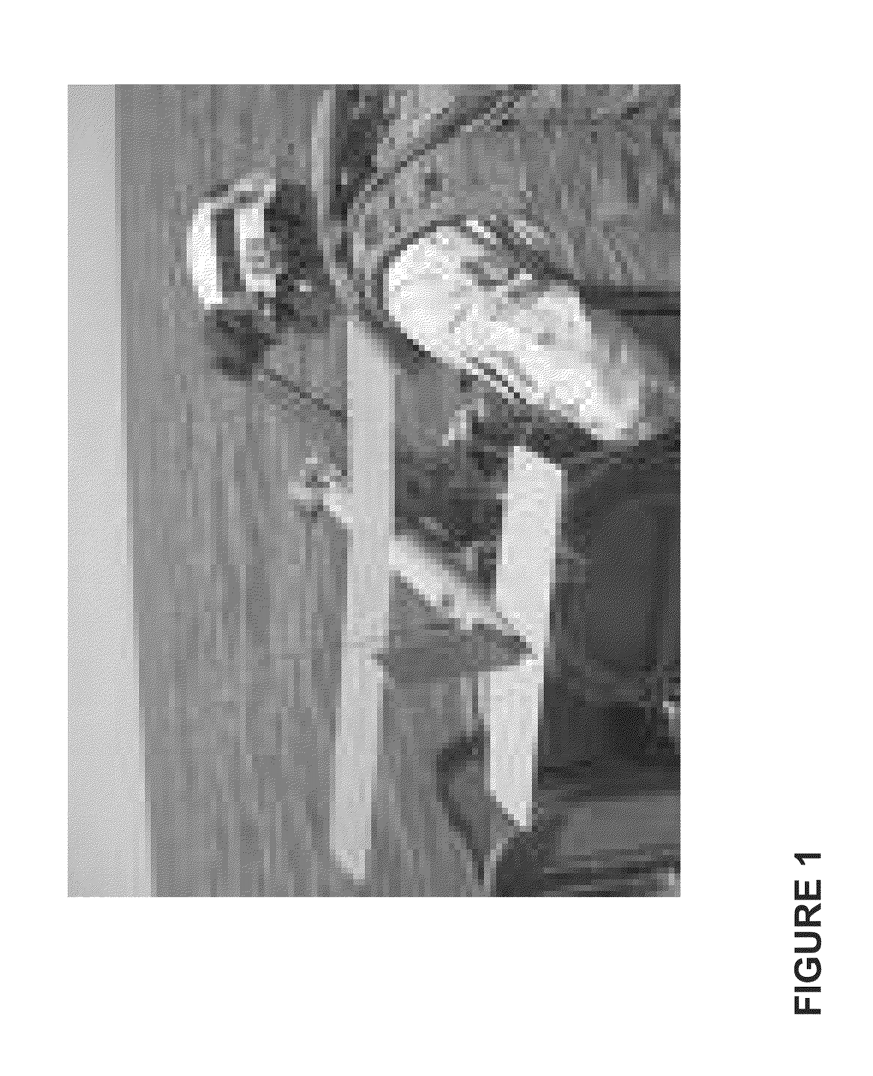 Computationally efficent radar processing method and sytem for  SAR and gmti on a slow moving platform