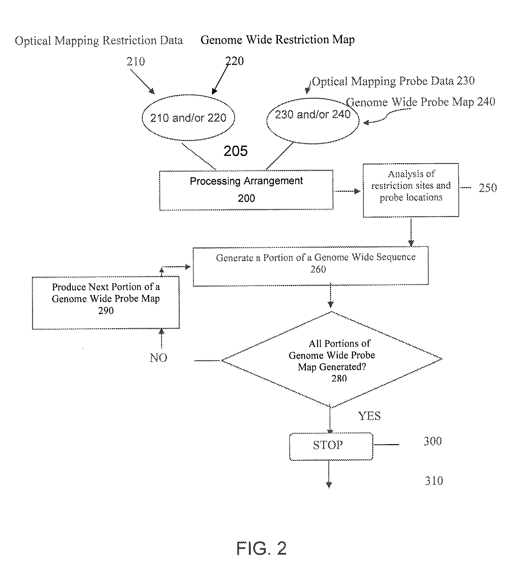 Methods, computer-accessible medium, and systems for generating a genome wide haplotype sequence