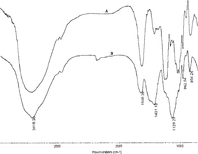 Fucoidan-galactosan sulfate, extracting, separating, and purifying method thereof, and application thereof