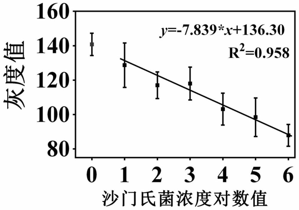 A kind of kit for detecting Salmonella typhimurium and preparation method thereof