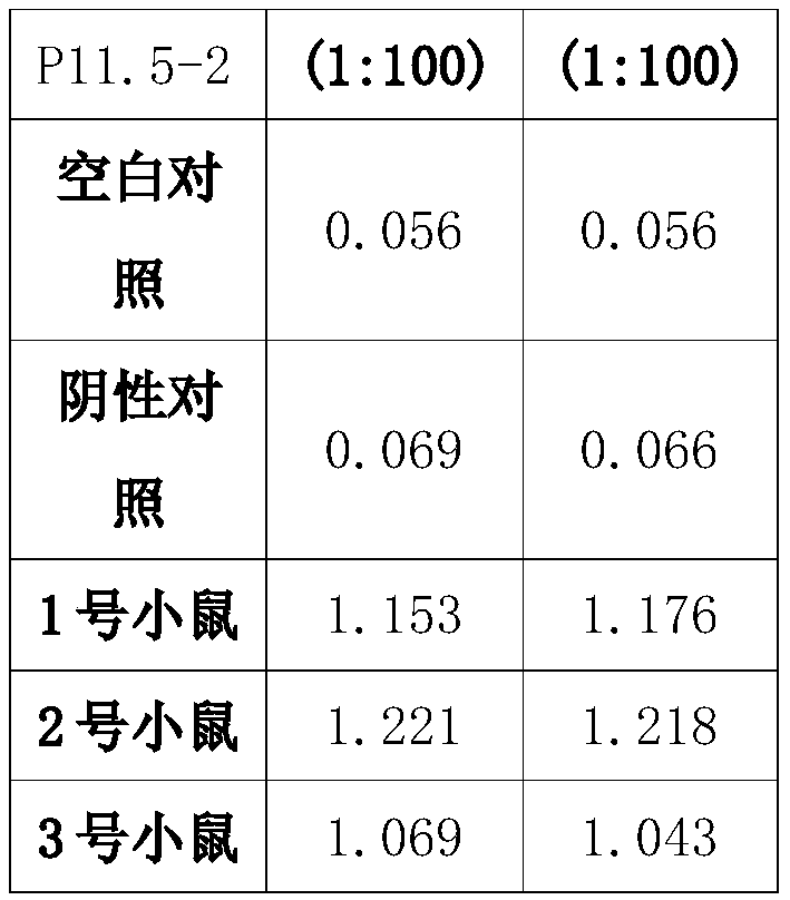 Preparation method and application of African swine fever virus P11.5 protein specific polyclonal antibody