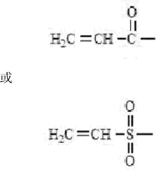 Functional modification method for branched polyethylene glycol (PEG) derivative