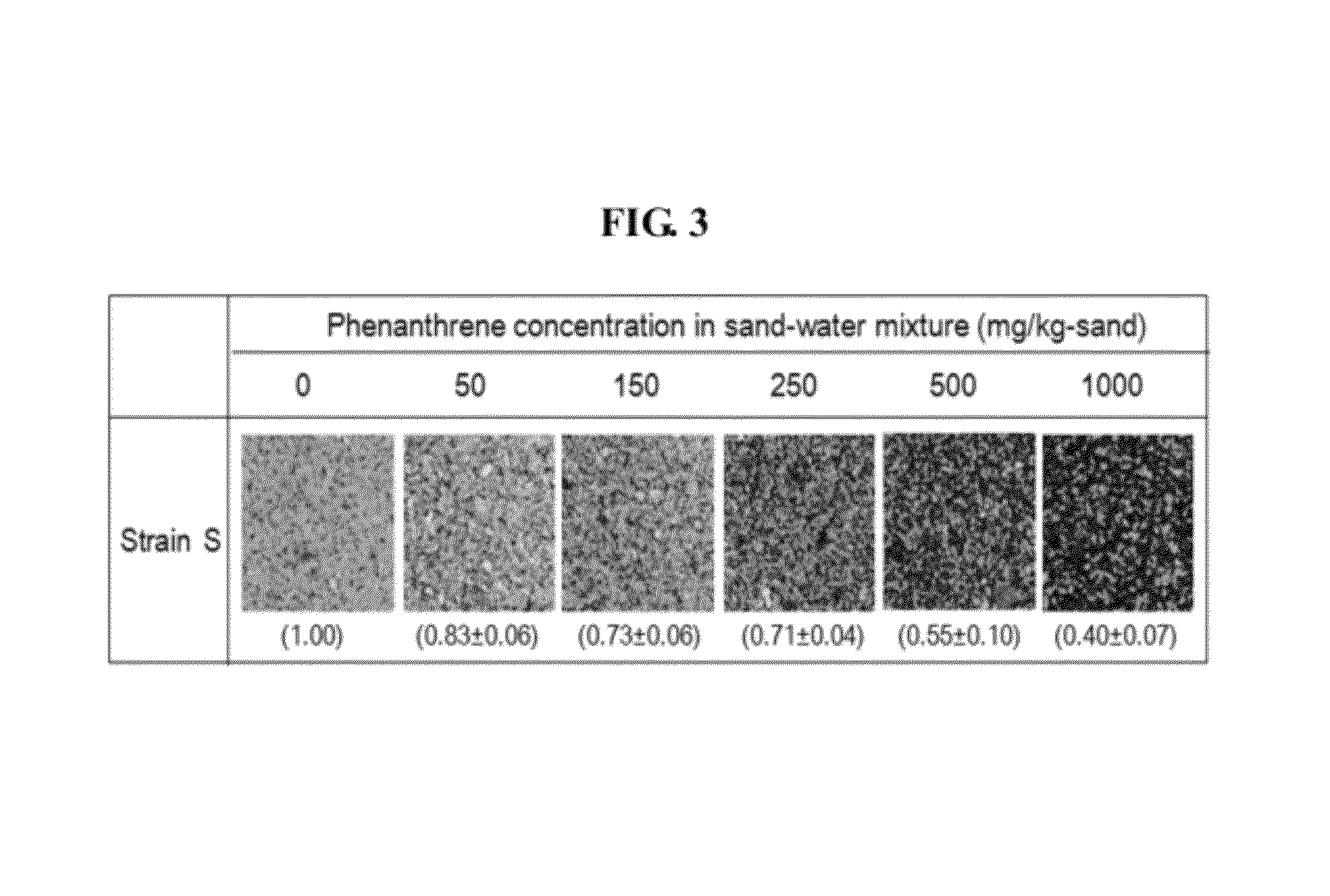 Self-dying recombinant microorganism for measuring soil and water contamination