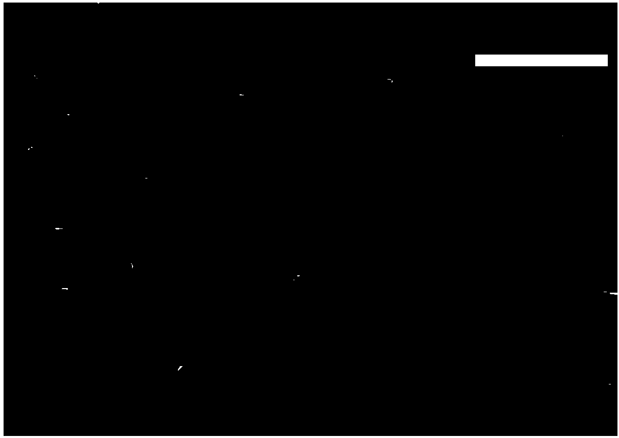 Method for preparing transparent Bi2Se3 film