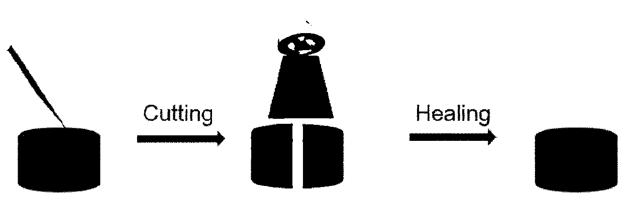 Polyvinyl alcohol-polyaniline composite hydrogel, and preparation method and application thereof