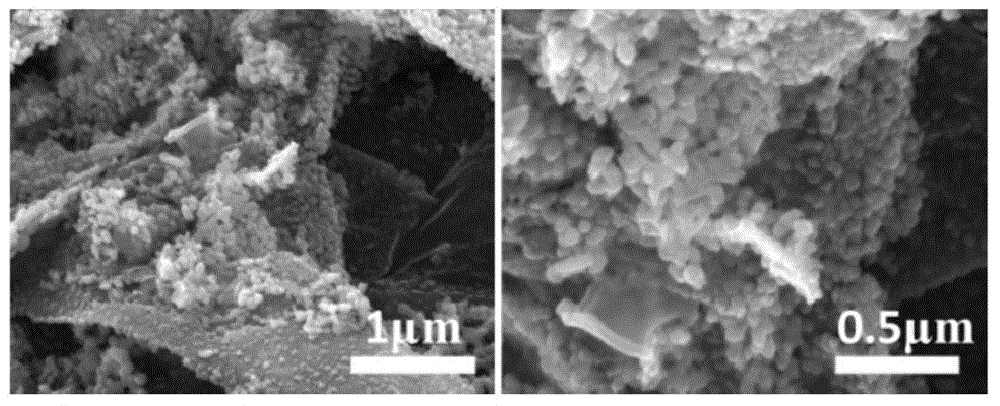 Preparation method of pucherite/graphene compound photo-catalyst with controllable particle size