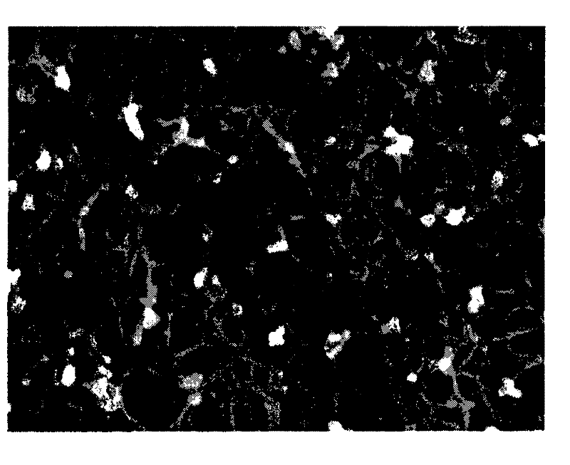 Polyimide porous membrane and preparation method and lithium ion battery thereof