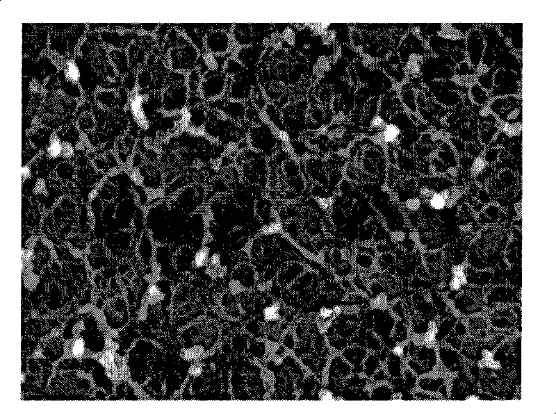 Polyimide porous membrane and preparation method and lithium ion battery thereof