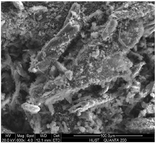 Carbon material supported palladium catalyst, as well as preparation and application thereof