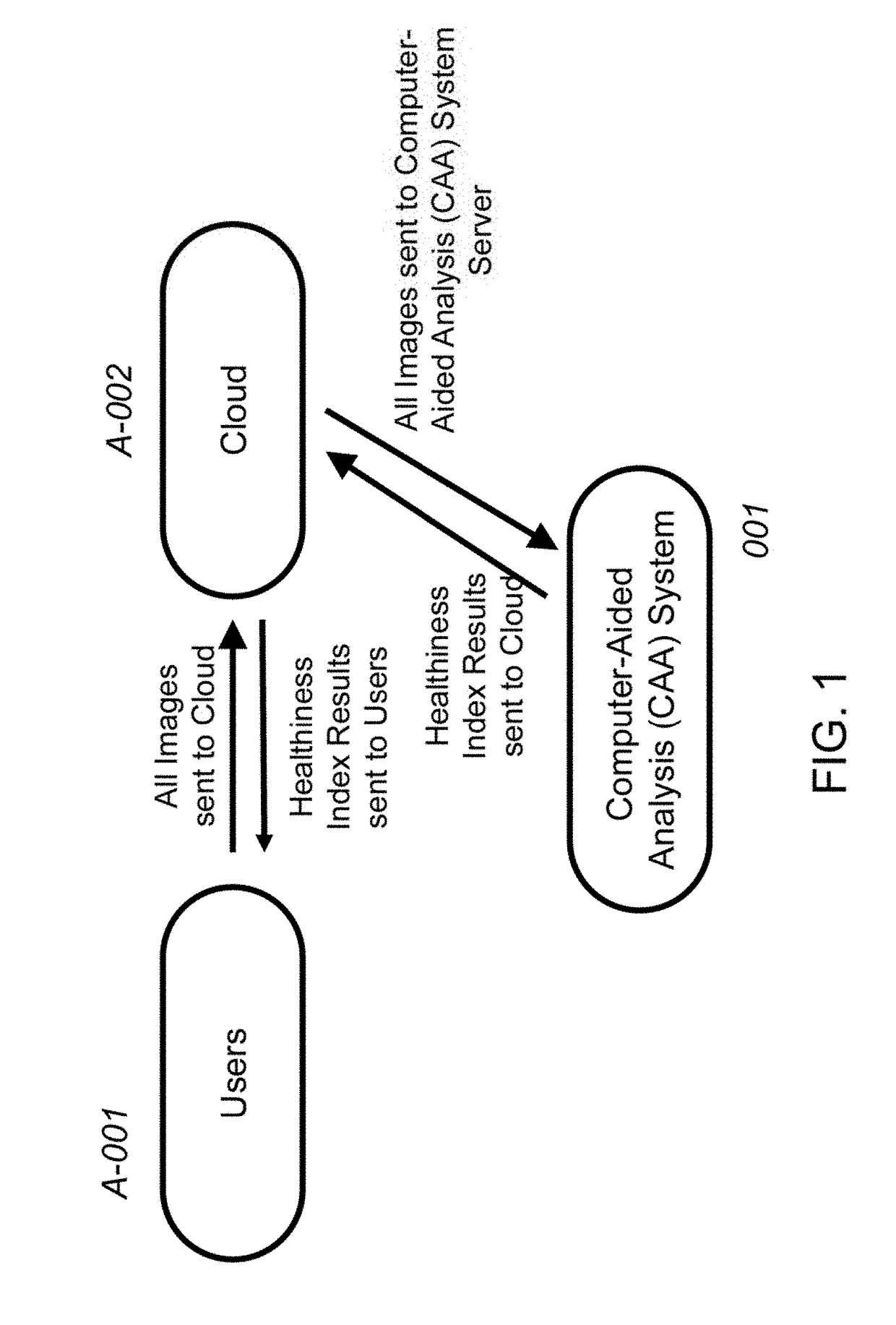 System and method for the classification of healthiness index from chest radiographs of a healthy person