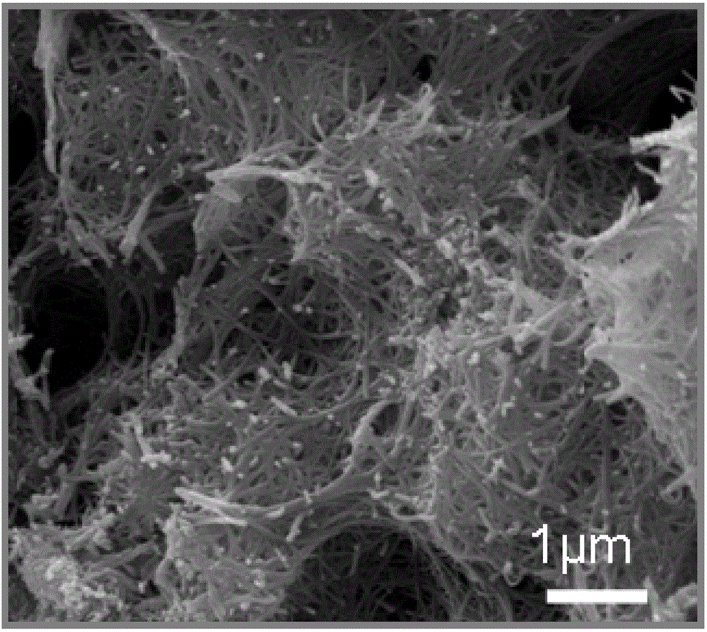 Preparation method of vanadium-doped nanometer tungsten oxide material and application of preparation method