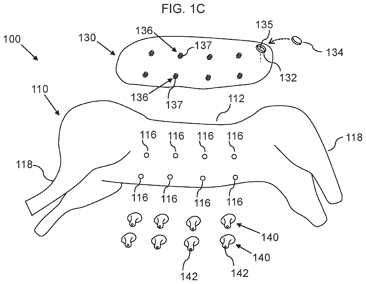 Nursing simulator system for nursing an infant