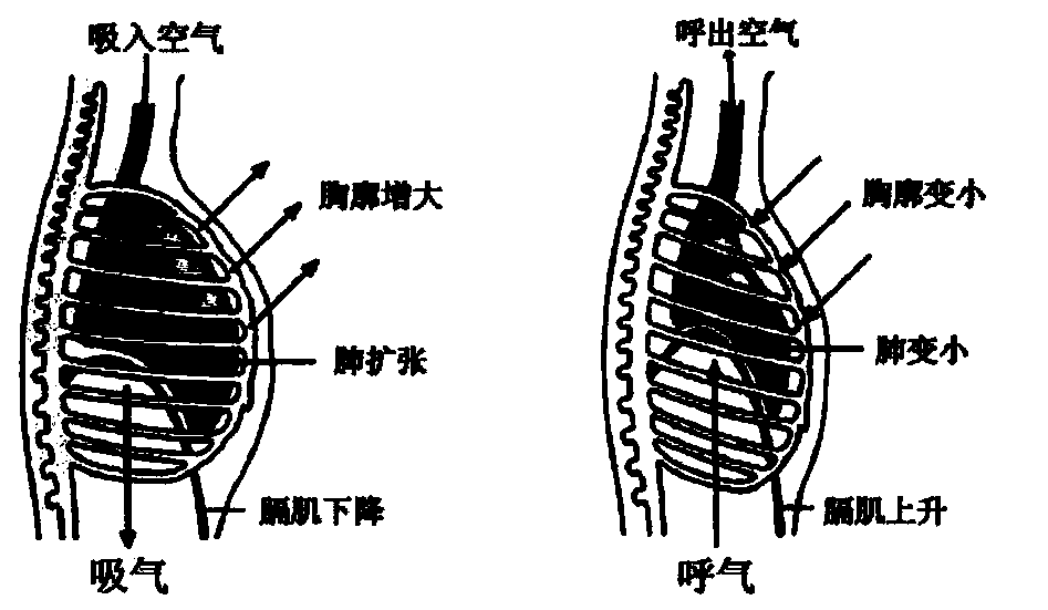 Image registration method and device