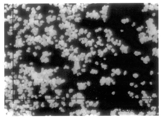 Tocotrienol-containing powder, a process for preparing it and a tablet comprising compressed said powder into a tablet form