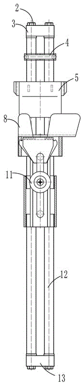 Apparatus and method for automatically removing neck skin of poultry