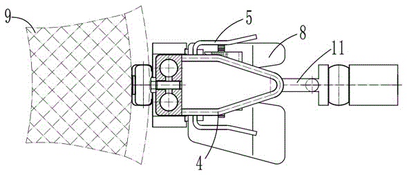 Apparatus and method for automatically removing neck skin of poultry