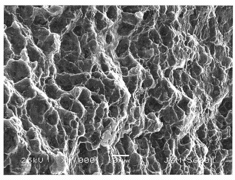 High strength and toughness rare earth magnesium alloy