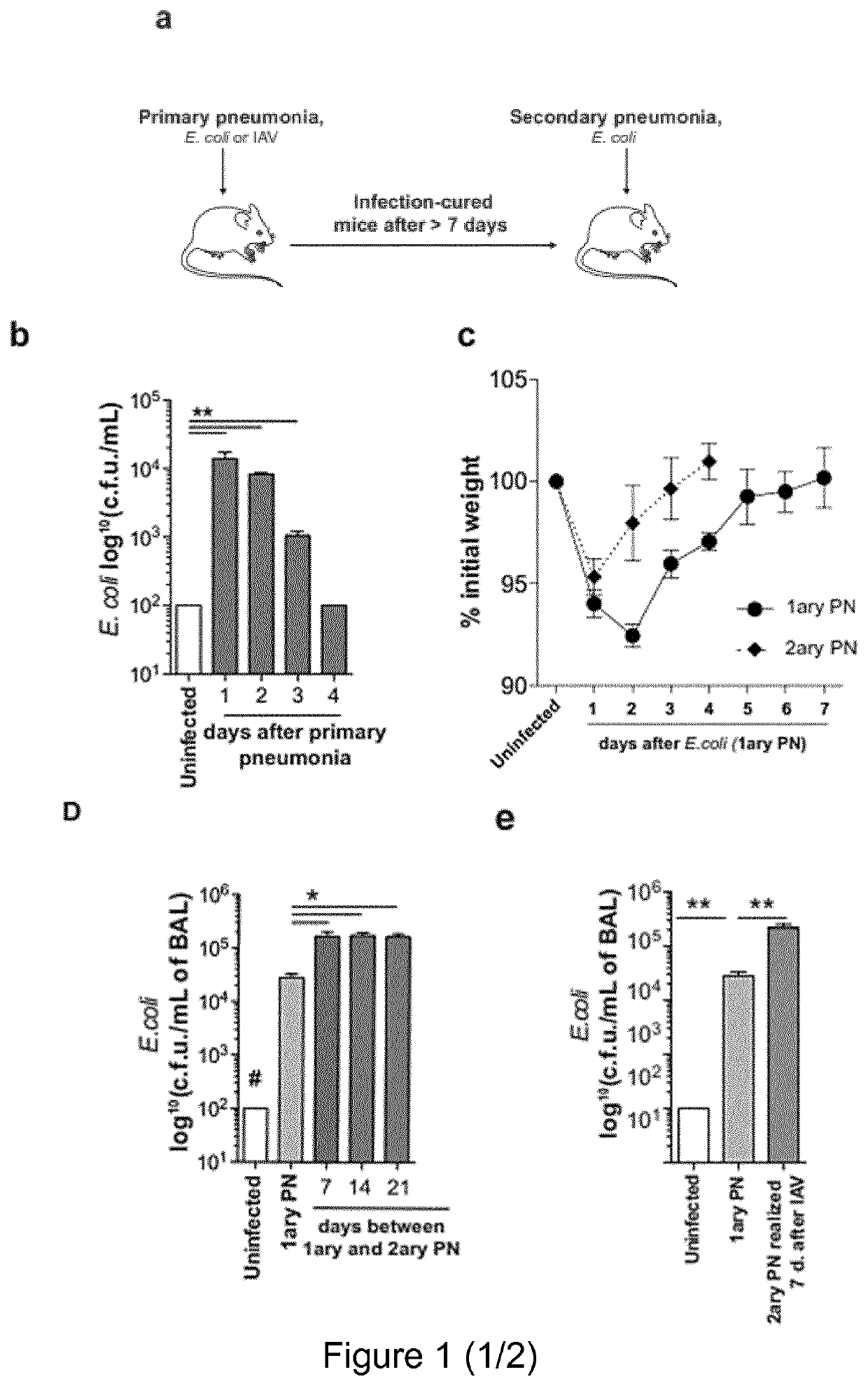 Interleukin 12 (IL12) or derivative thereof for use in the treatment of secondary disease