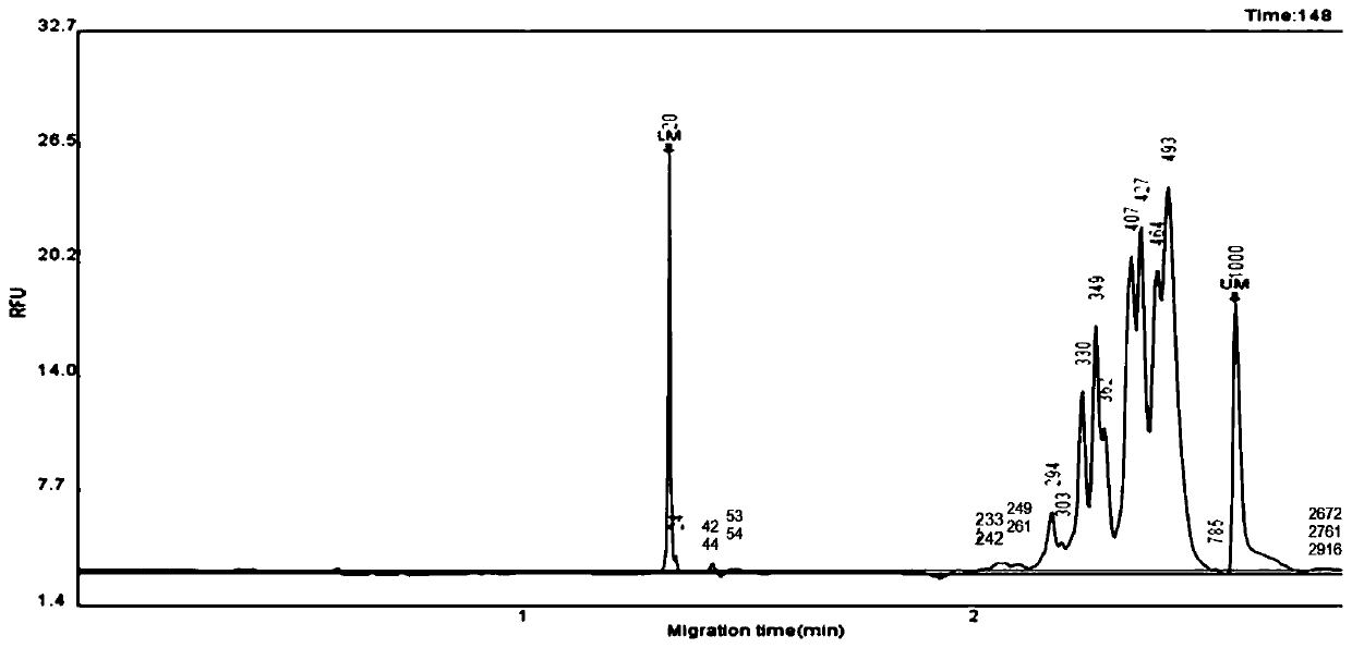 Kit and method for detecting hypertension drug related gene polymorphism