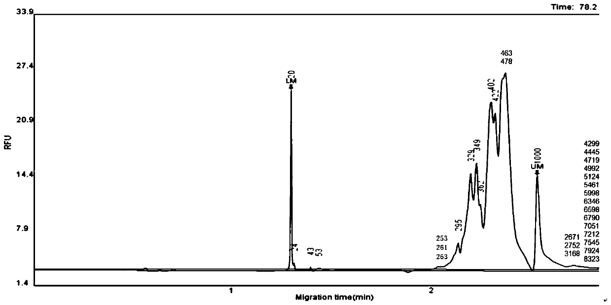 Kit and method for detecting hypertension drug related gene polymorphism