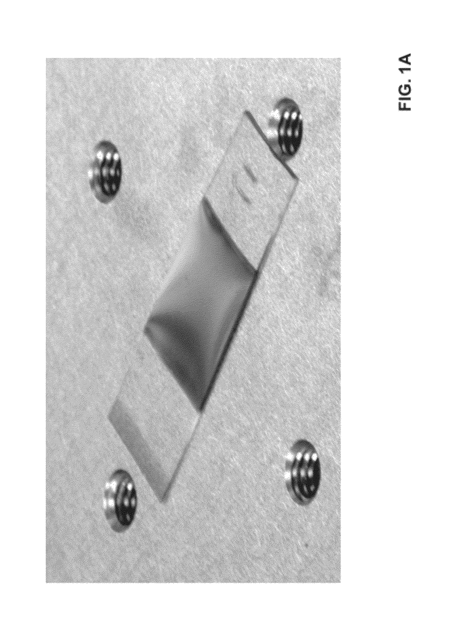 Optical diffraction gratings and methods for manufacturing same