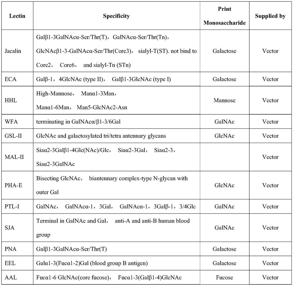 Application of a lectin probe combination in the identification of pregnancy in Qinling and Sichuan golden monkeys based on urine protein glycoforms