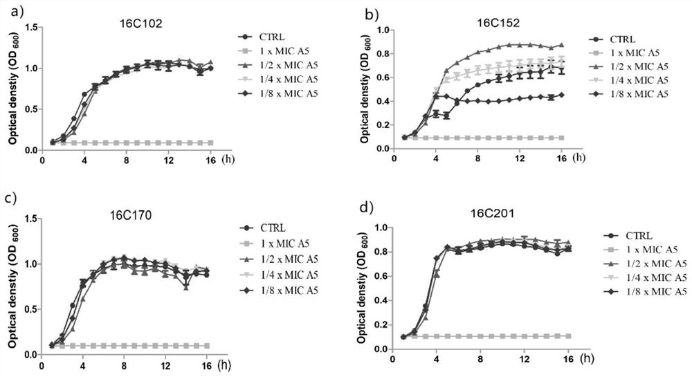 Application of Cinacalcet in inhibiting biological activity of gram-positive bacteria