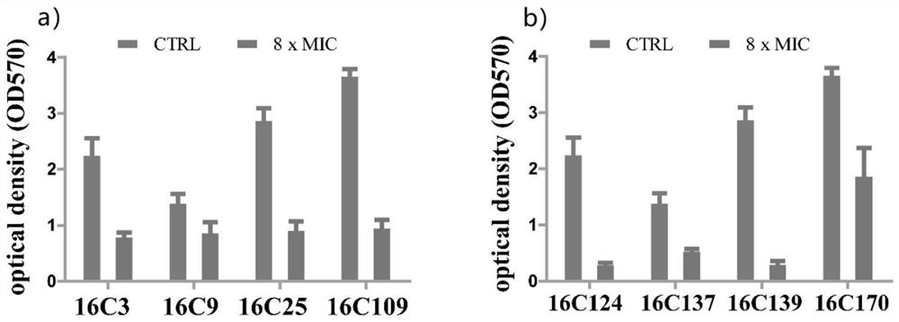 Application of Cinacalcet in inhibiting biological activity of gram-positive bacteria