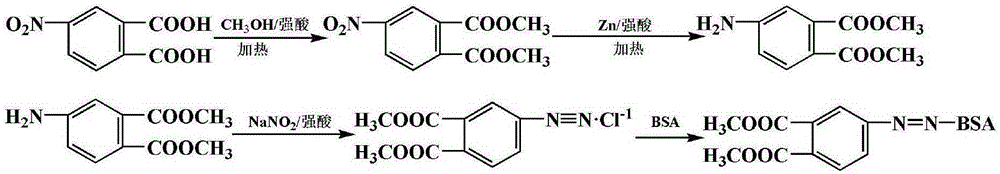 Dimethyl phthalate artificial immunogen and preparation and application thereof