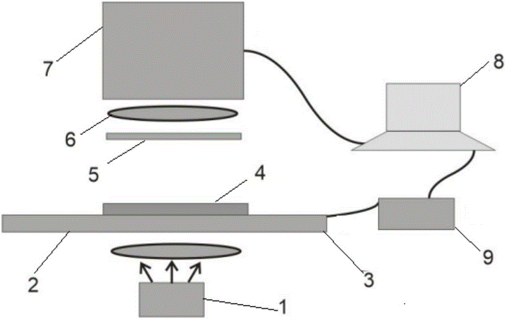 Line light source excitation-based rapid high-throughput hyperspectral detection device and detection method