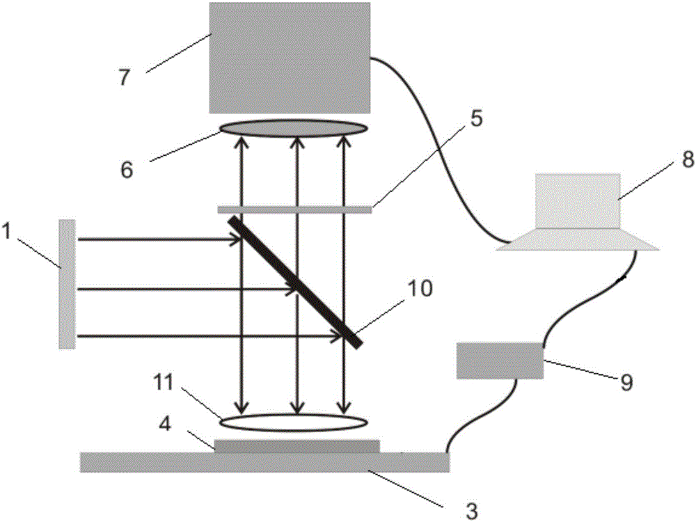 Line light source excitation-based rapid high-throughput hyperspectral detection device and detection method