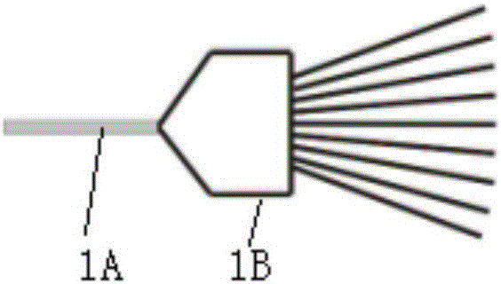 Line light source excitation-based rapid high-throughput hyperspectral detection device and detection method