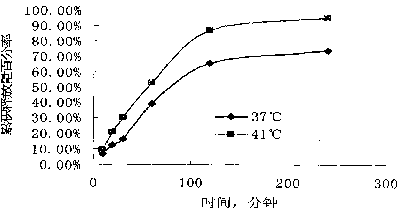 Compound thermo-sensitive liposome used for thermal targeted chemotherapy and preparation method thereof