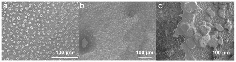 Protein product capable of fixing target object and being cleared as required