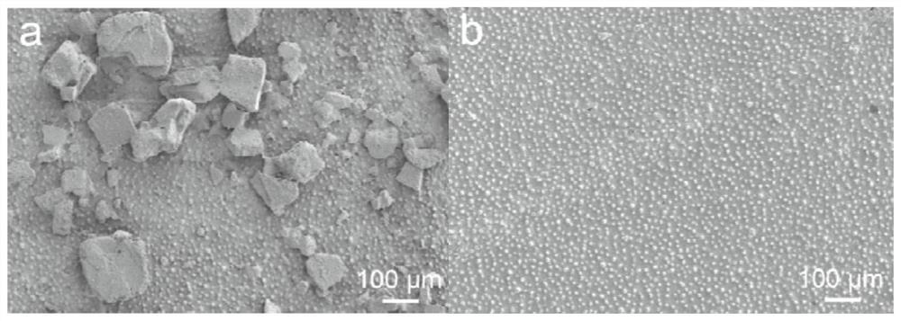 Protein product capable of fixing target object and being cleared as required