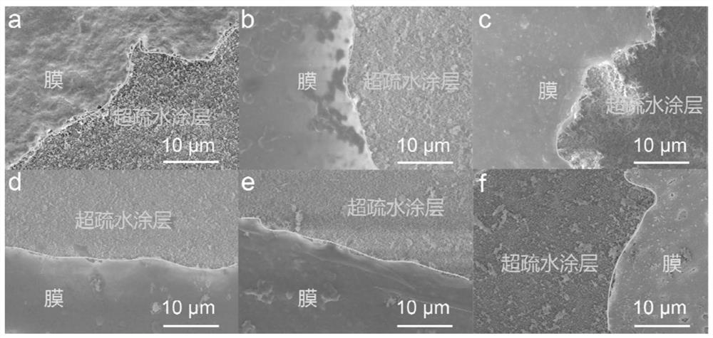 Protein product capable of fixing target object and being cleared as required