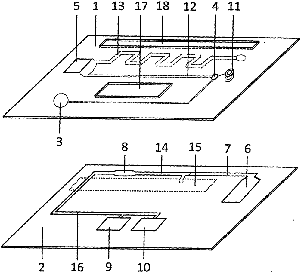 Magnetic particle chemiluminescent microfluidic chip for detecting creatine kinase isoenzyme in whole blood