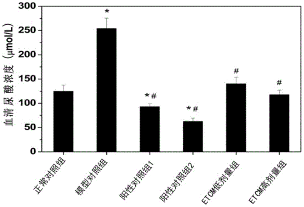 Cordyceps militaris water extract as well as preparation method and application thereof