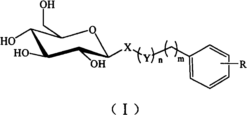 C-glycoside and C-glycoside compound containing substituted aromatic rings as well as preparation and use thereofb