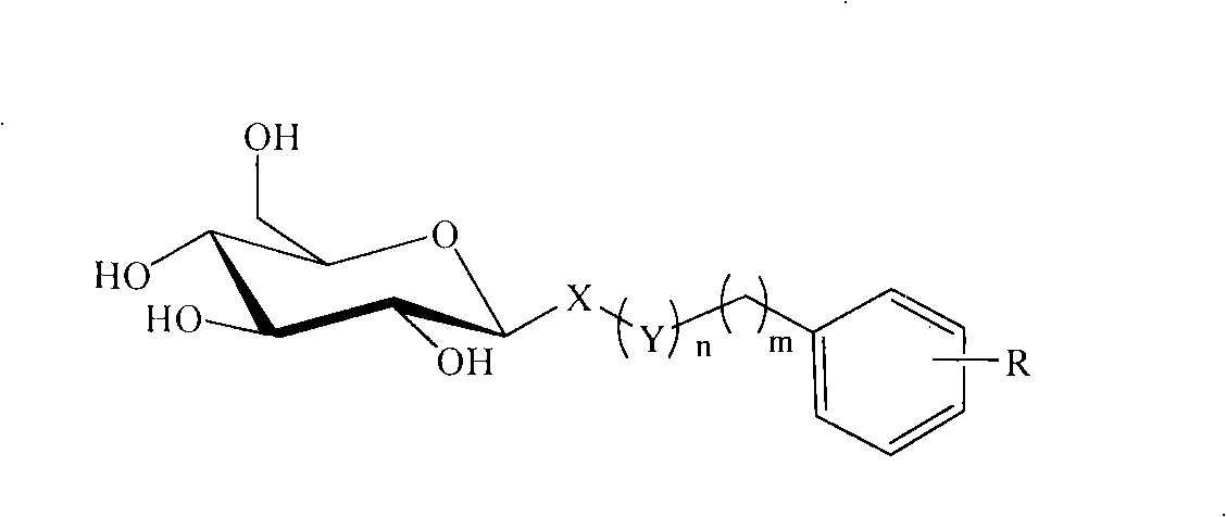 C-glycoside and C-glycoside compound containing substituted aromatic rings as well as preparation and use thereofb