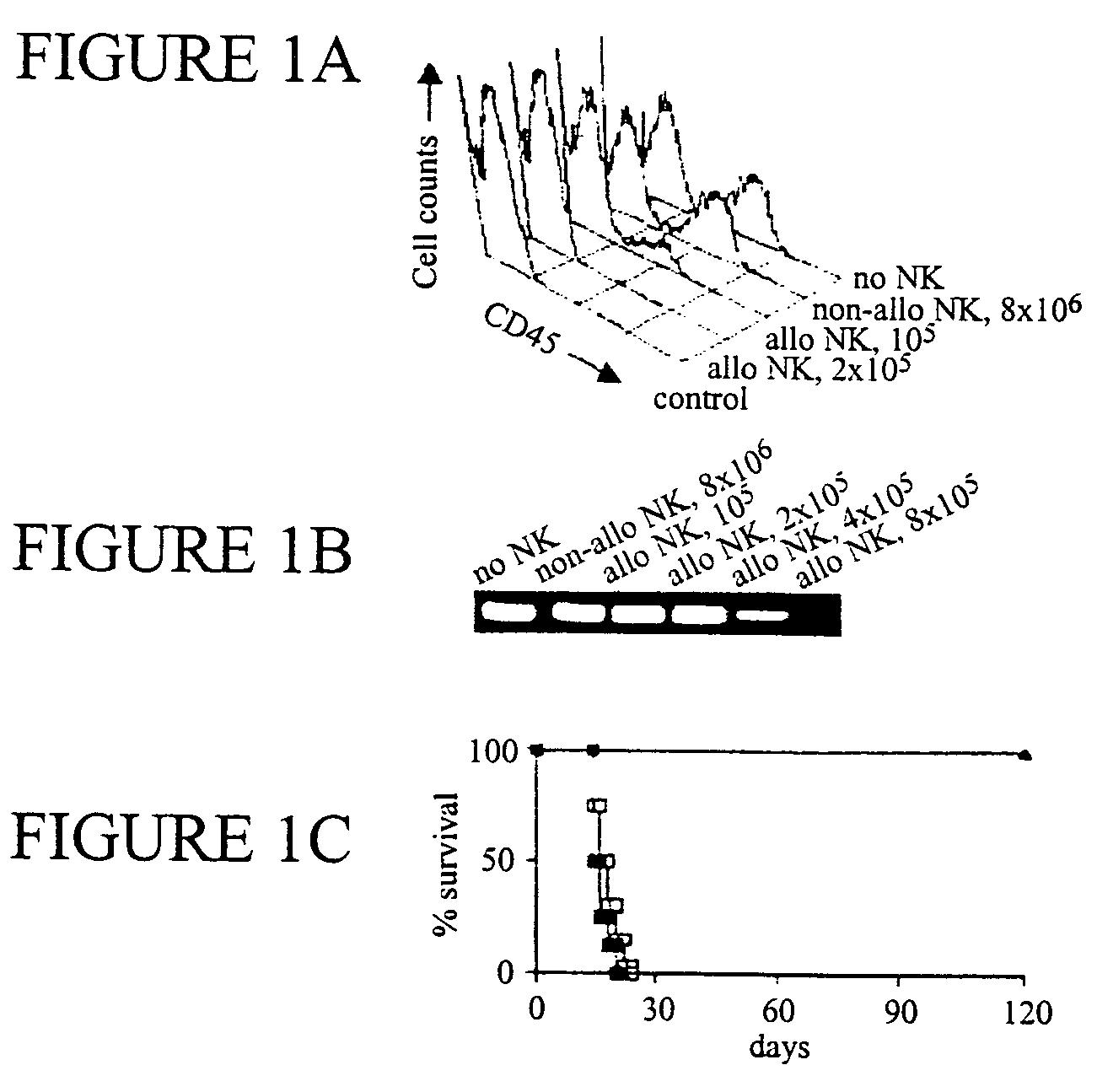 Methods and compositions for allogeneic transplantation