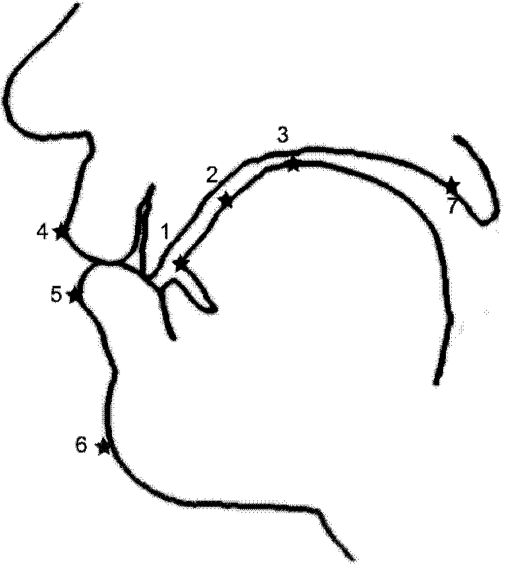 Method for generating lattice animation of vocal organs