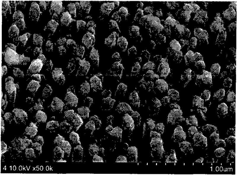 Method for continuously enriching and separating phosphoeptide at high throughput