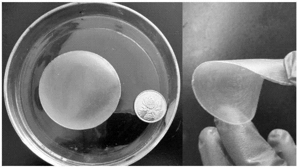 Preparation method and application of Jannus dual-layered ionic imprinting composite film