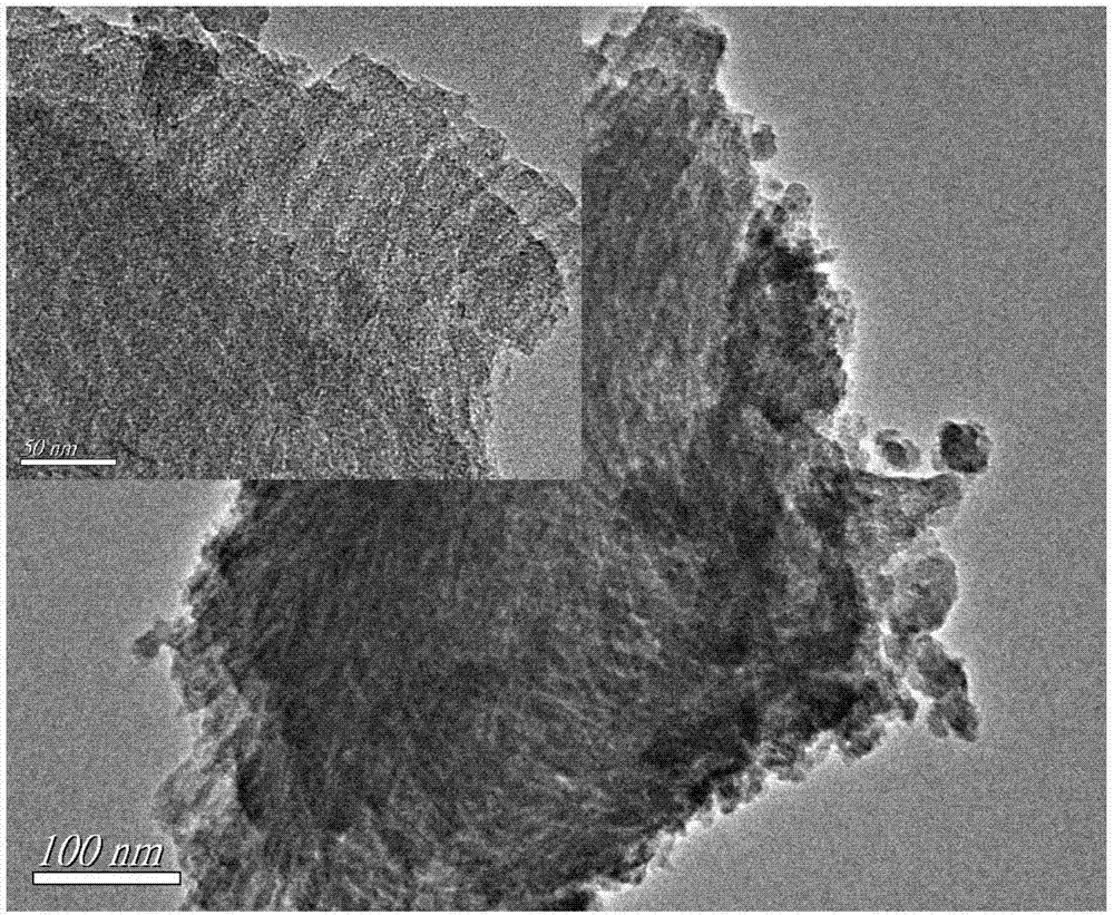 Preparation method and application of Jannus dual-layered ionic imprinting composite film