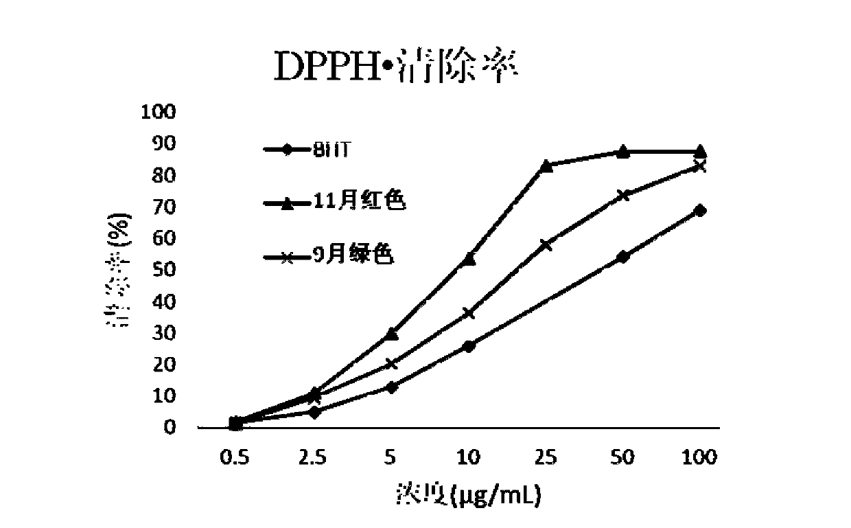 Blueberry leaf healthcare tea, blueberry leaf healthcare capsule, and preparation method thereof